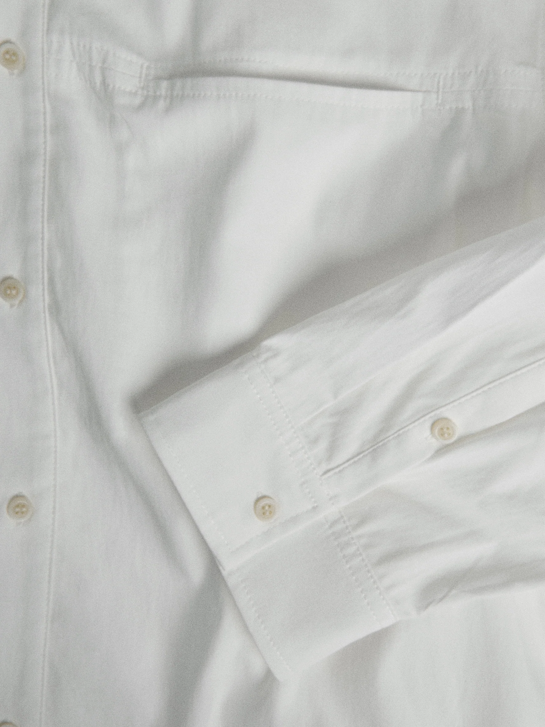 011 - Curator Basic Shirt - Image 28